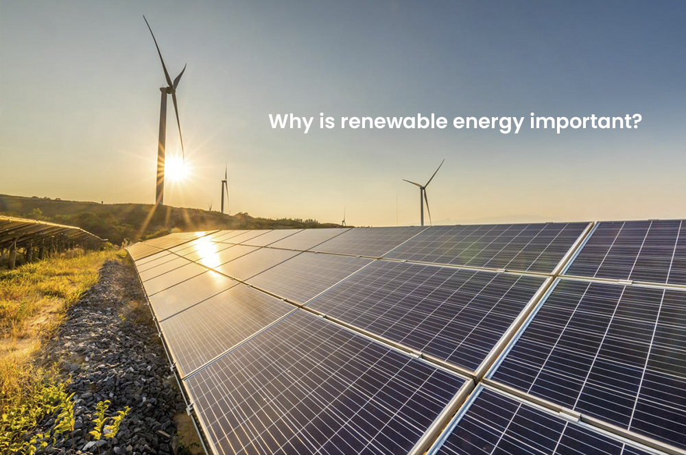 What is Renewable Energy and Why is it Important?